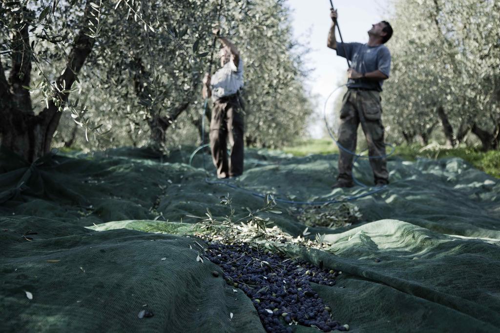 فيلا سيريتو غيديفي Tenuta Di Colle Alberti Agriturismo المظهر الخارجي الصورة