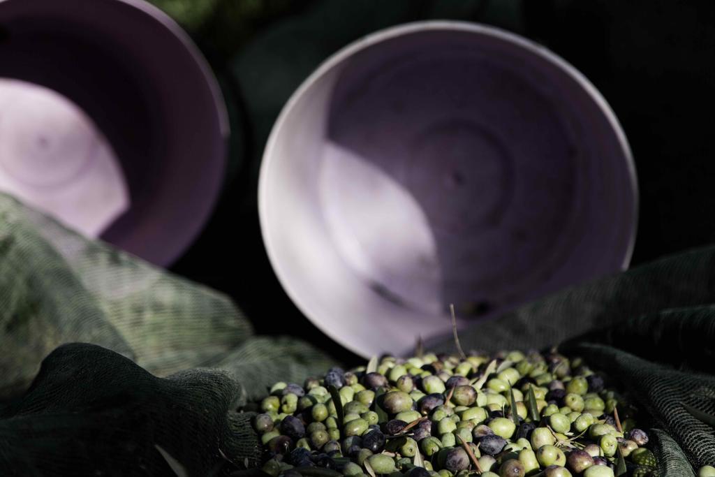 فيلا سيريتو غيديفي Tenuta Di Colle Alberti Agriturismo المظهر الخارجي الصورة
