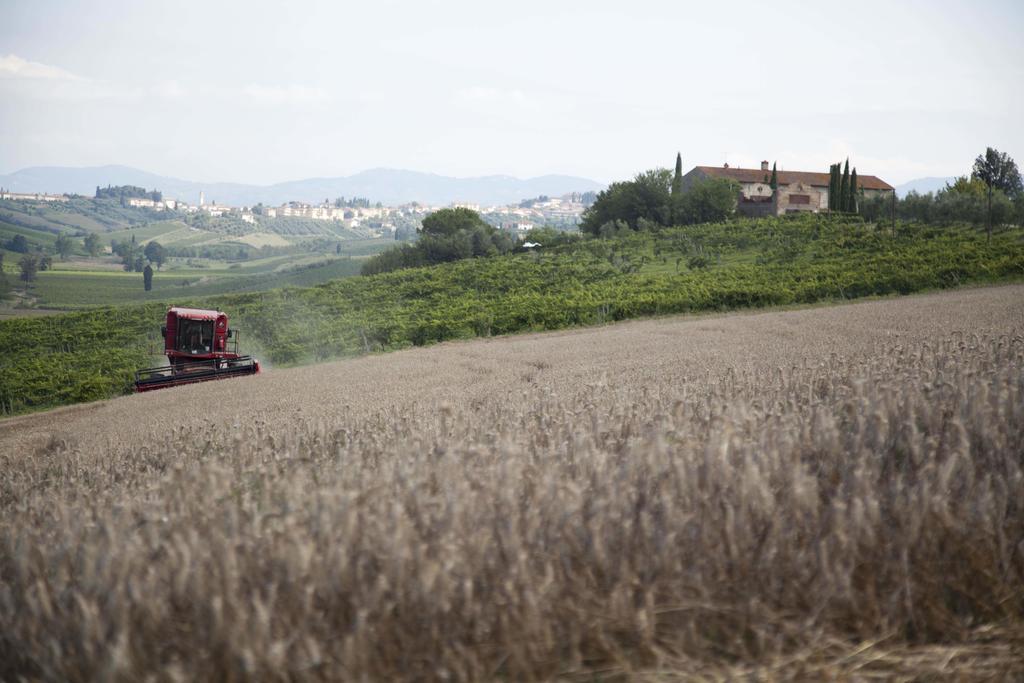 فيلا سيريتو غيديفي Tenuta Di Colle Alberti Agriturismo المظهر الخارجي الصورة