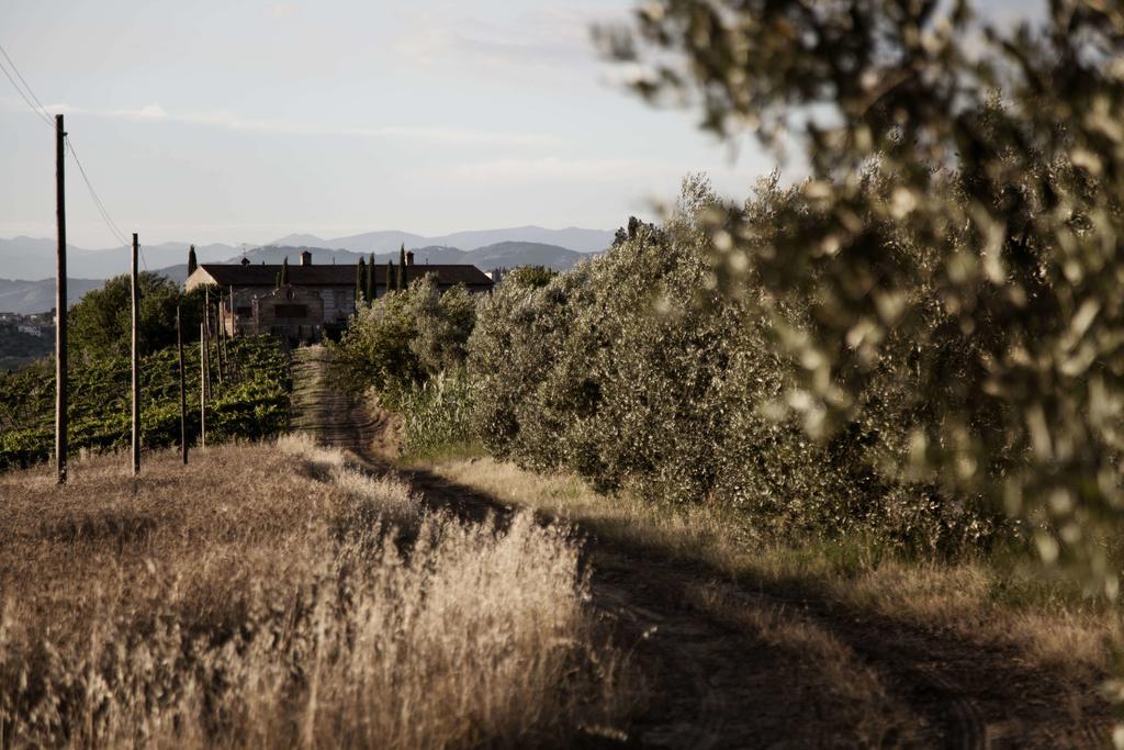 فيلا سيريتو غيديفي Tenuta Di Colle Alberti Agriturismo المظهر الخارجي الصورة