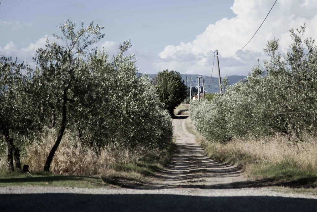 فيلا سيريتو غيديفي Tenuta Di Colle Alberti Agriturismo المظهر الخارجي الصورة