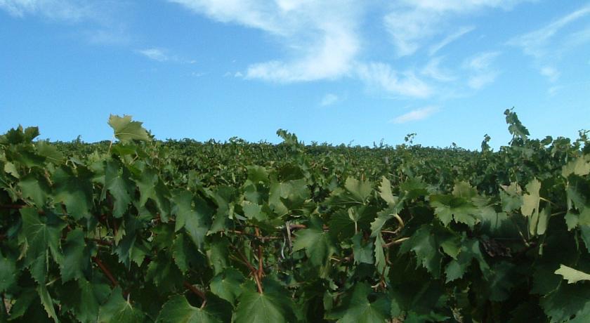 فيلا سيريتو غيديفي Tenuta Di Colle Alberti Agriturismo المظهر الخارجي الصورة